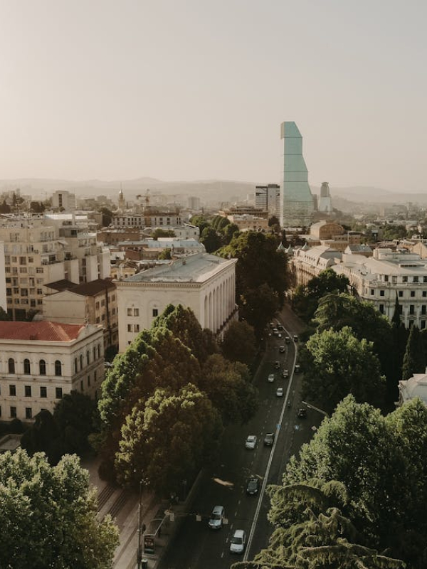 What was 2024 like for the Georgian real estate sector?